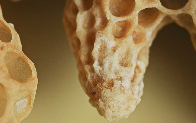 中蜂王臺多久看一次? 王臺