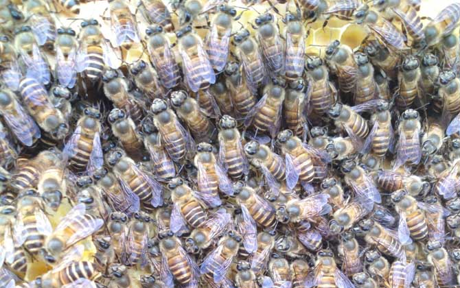 工產(chǎn)群怎么介王安全? 工產(chǎn)群介王