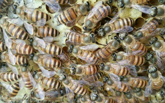 工產(chǎn)群怎么介王安全? 工產(chǎn)群介王