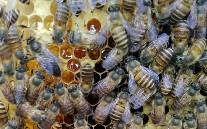 工產(chǎn)群怎么介王安全? 工產(chǎn)群介王