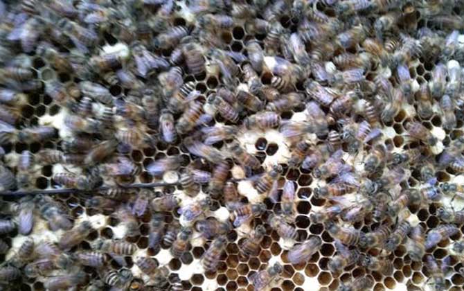 工產(chǎn)群怎么介王安全? 工產(chǎn)群介王