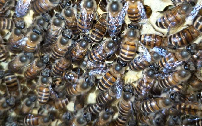 工產(chǎn)群怎么介王安全? 工產(chǎn)群介王