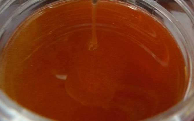 沙棗花蜜的功效與作用及食用方法 沙棗花蜜