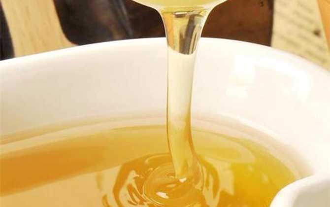 羅布麻蜜的作用與功效及食用方法 羅布麻蜜