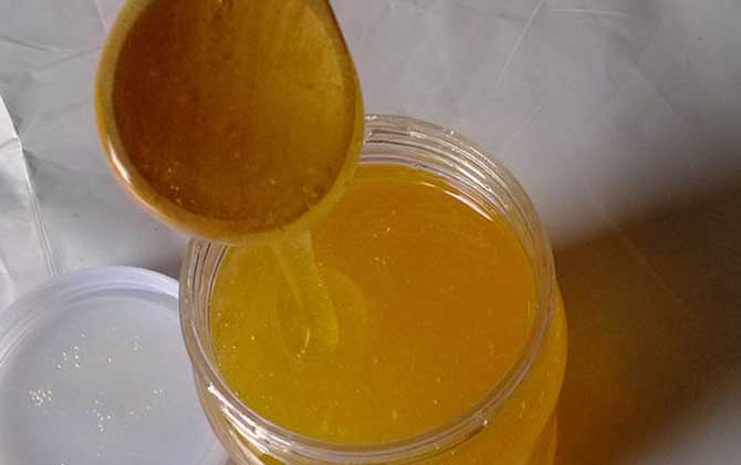 羅布麻蜜的作用與功效及食用方法 羅布麻蜜