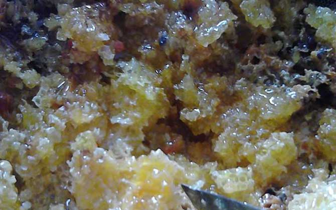 土蜂蜜的作用與功效及食用方法 土蜂蜜