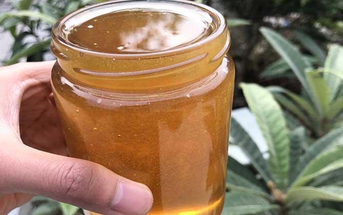 枇杷蜜的功效與作用及禁忌人群 枇杷蜜