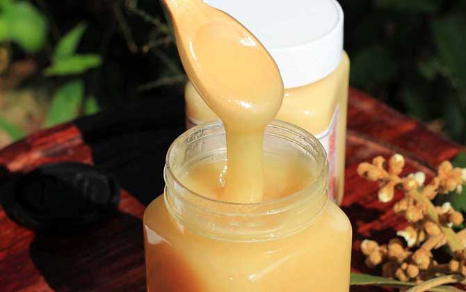 枇杷蜜的功效與作用及禁忌人群 枇杷蜜