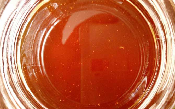 玄參蜜的作用與功效及食用方法 玄參蜜