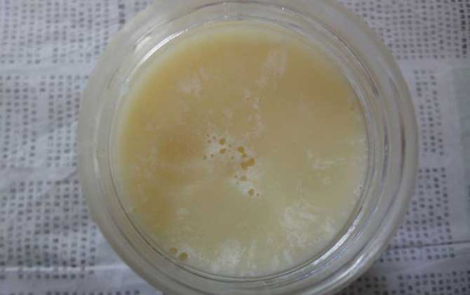 野壩子蜜的作用與功效及食用方法 野壩子蜜