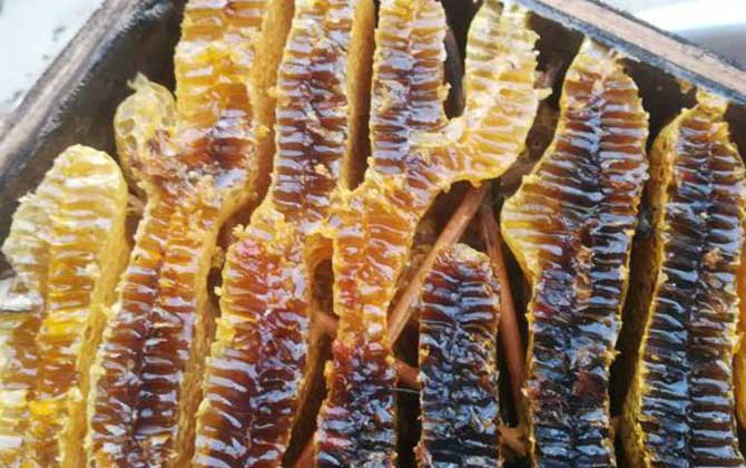 蜂巢由哪些成分組成的? 蜂巢