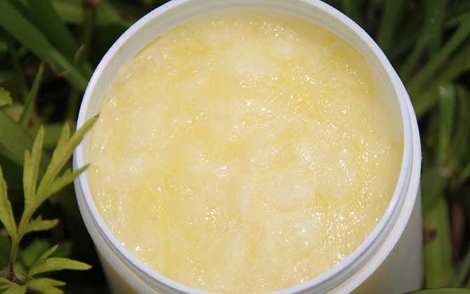 蜂皇漿多少錢一斤正常? 蜂皇漿