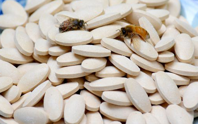 蜂王胎適合閉經(jīng)的女人吃嗎? 蜂王胎