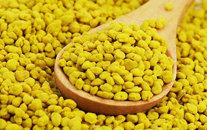 玉米花粉的功效與作用及食用方法 玉米花粉