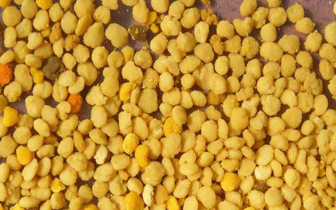 女人吃蜂花粉有什么好處? 蜂花粉