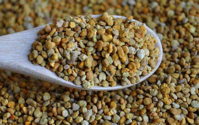 蜂花粉的禁忌及正確吃法 蜂花粉