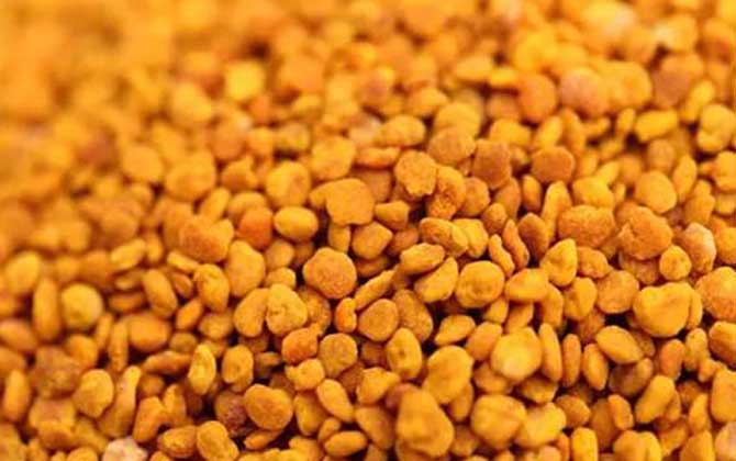 茶花粉怎么吃效果最好? 茶花粉