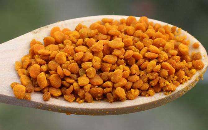 茶花粉減肥原理及正確吃法 茶花粉