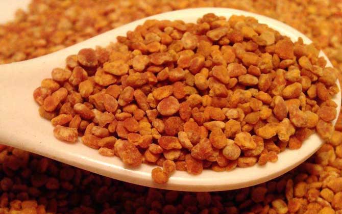 最新茶花粉價(jià)格多少錢(qián)一斤? 茶花粉