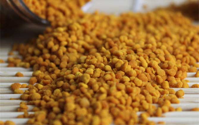 最新茶花粉價(jià)格多少錢(qián)一斤? 茶花粉