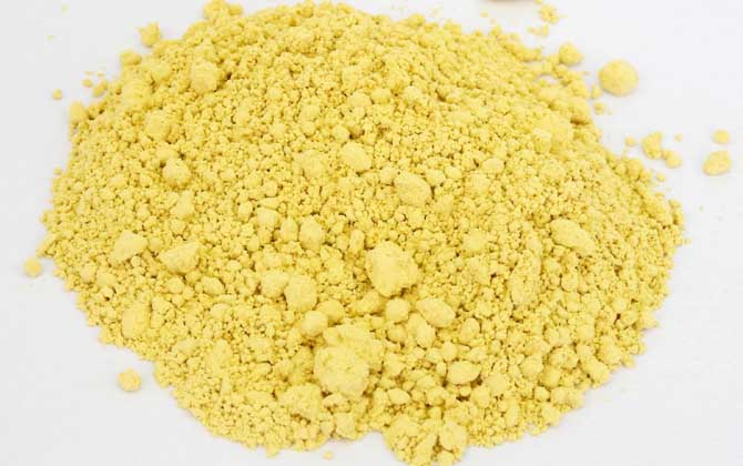 吃松花粉能補腎壯陽嗎? 松花粉