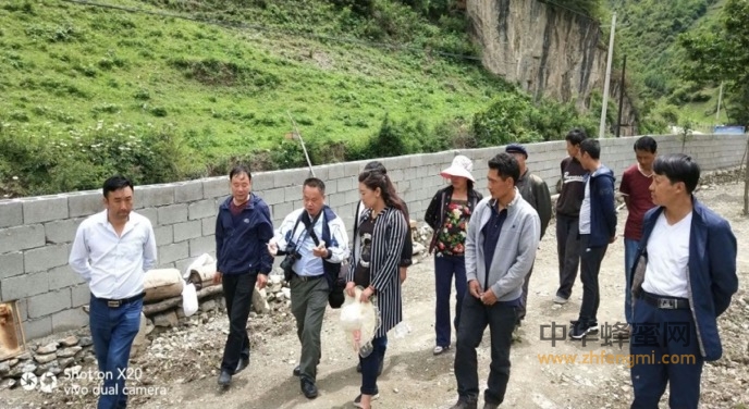 扶貧路上與蜂為伴—中國養(yǎng)蜂學會審查舟曲縣創(chuàng)建“全國中華蜜蜂之鄉(xiāng)”工作