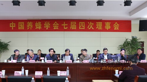 中國(guó)養(yǎng)蜂學(xué)會(huì) 理事會(huì) 濟(jì)寧 中國(guó)蜜蜂日 蜂療培訓(xùn) 蜂箱