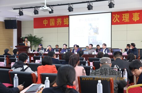 中國(guó)養(yǎng)蜂學(xué)會(huì) 理事會(huì) 濟(jì)寧 中國(guó)蜜蜂日 蜂療培訓(xùn) 蜂箱