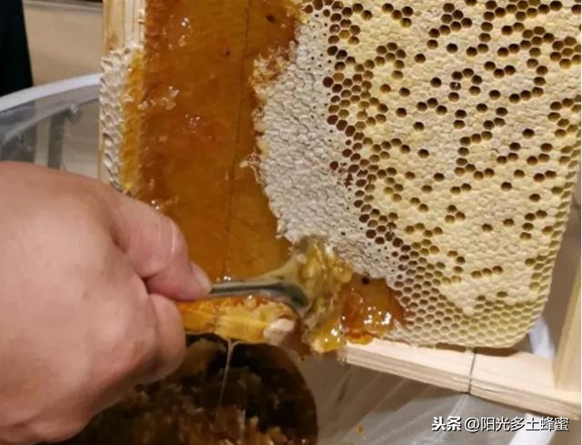 你試過(guò)刮脾取蜜嗎？它真的優(yōu)于搖蜜機(jī)取蜜嗎？