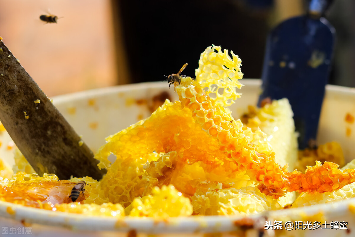 你試過(guò)刮脾取蜜嗎？它真的優(yōu)于搖蜜機(jī)取蜜嗎？