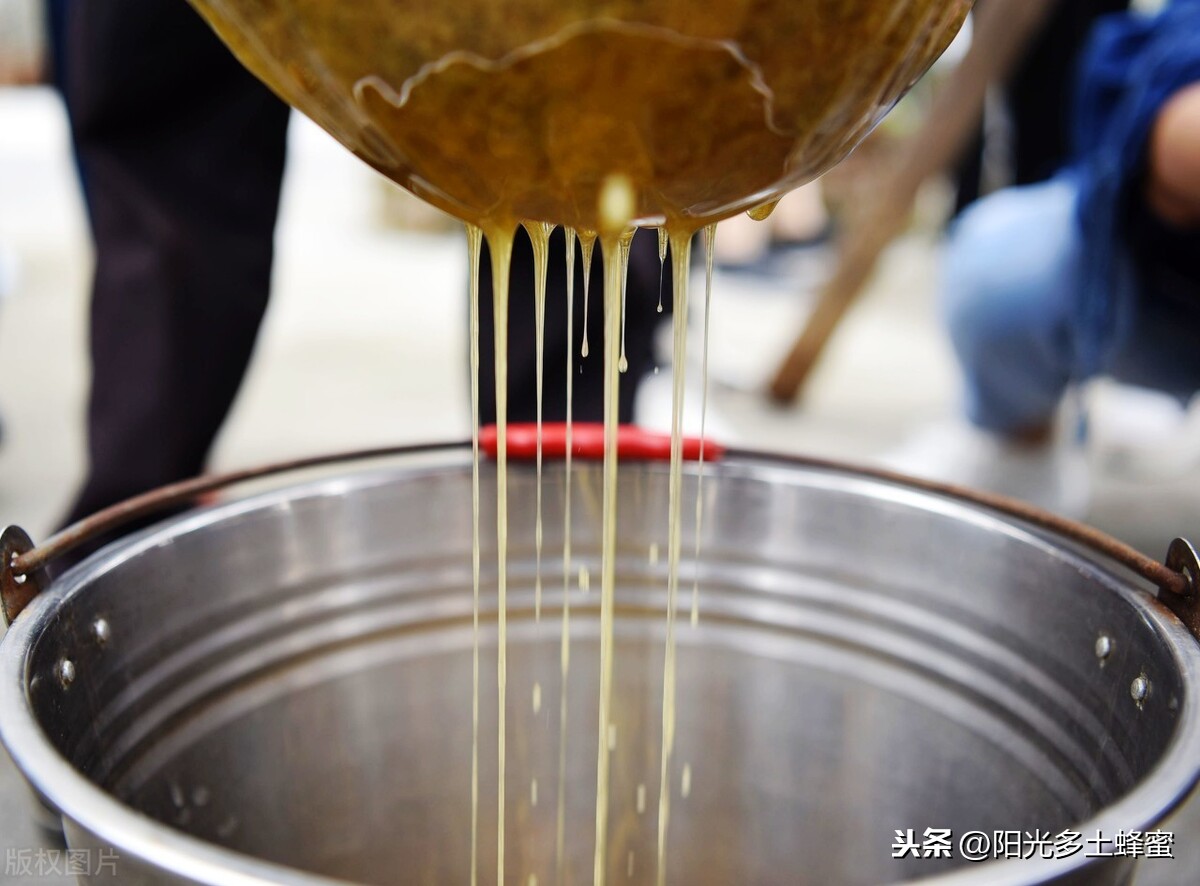 你試過(guò)刮脾取蜜嗎？它真的優(yōu)于搖蜜機(jī)取蜜嗎？