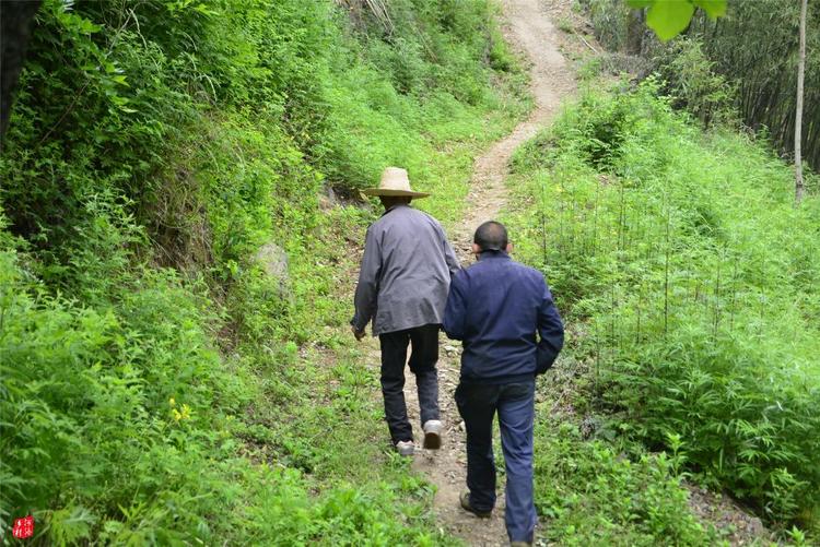 81歲老人養蜂半世紀，自創多種養蜂工具，怕蜜蜂丟失樹下睡3個月