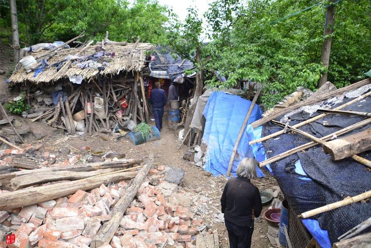 81歲老人養蜂半世紀，自創多種養蜂工具，怕蜜蜂丟失樹下睡3個月