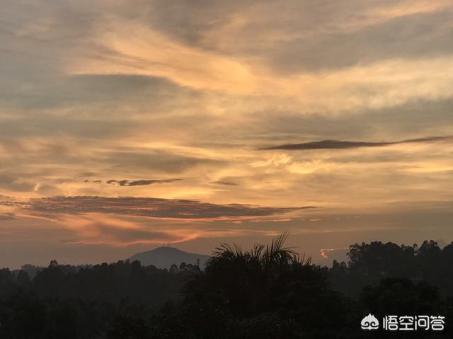 有沒有和別人合作養(yǎng)殖蜜蜂的項(xiàng)目(合作養(yǎng)蜂是真的嗎)