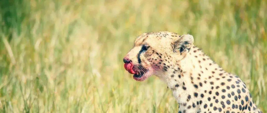 哪一程的旅行滿足了你對「去遠方」的美好幻想