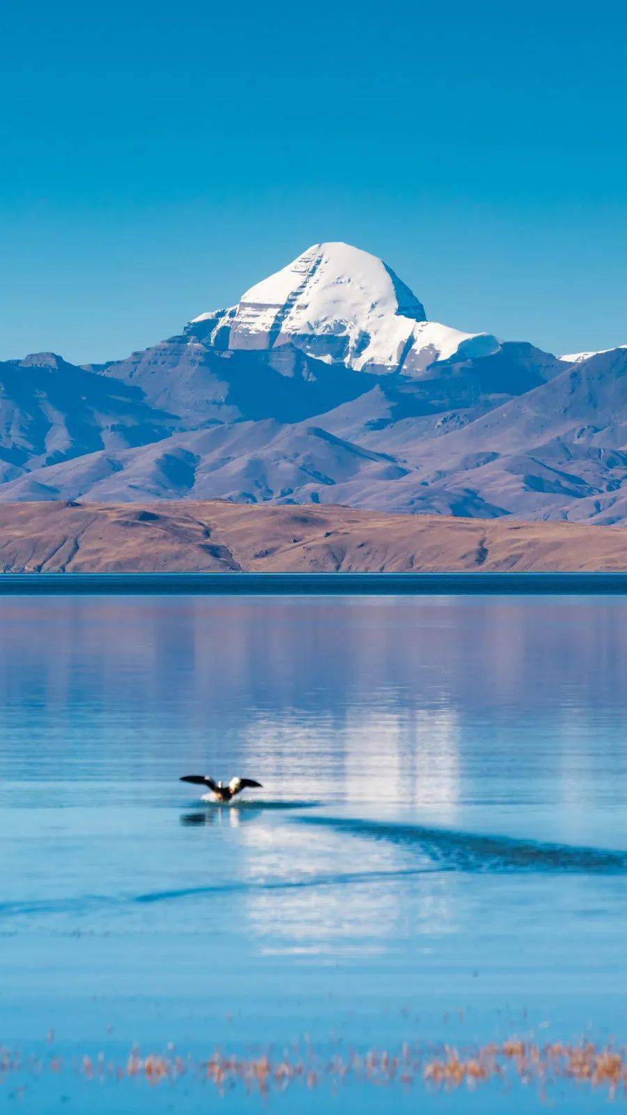 哪一程的旅行滿足了你對「去遠方」的美好幻想