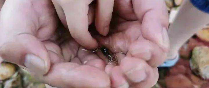 哪一程的旅行滿足了你對「去遠方」的美好幻想