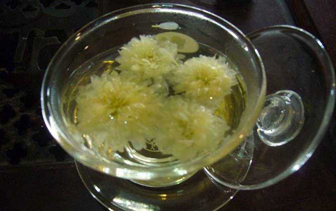 野菊花蜂蜜的功效與作用(菊花茶加蜂蜜泡水喝的作用與禁忌) 野菊花蜂蜜的功效與作用(菊花茶加蜂蜜泡水喝的作用與禁忌)