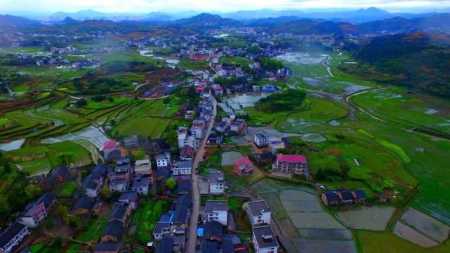 95后“村姑”靠直播插秧當上網紅(犁田、插秧、打鐵,真農活界“十項全能”)