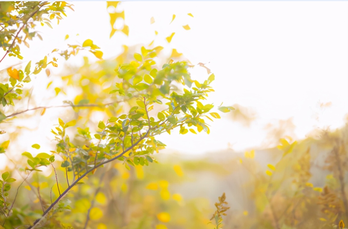 越是無人懂你,越要愛自己(沒有人會永遠愛你,除了你自己) 越是無人懂你,越要愛自己(沒有人會永遠愛你,除了你自己)