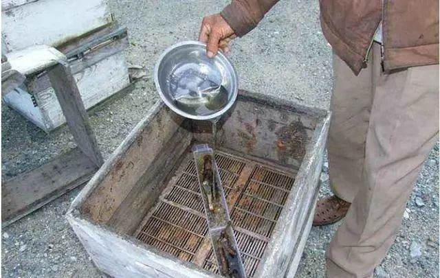 養蜂喂白砂糖的危害(中蜂喂白糖的壞處) 養蜂喂白砂糖的危害(中蜂喂白糖的壞處)