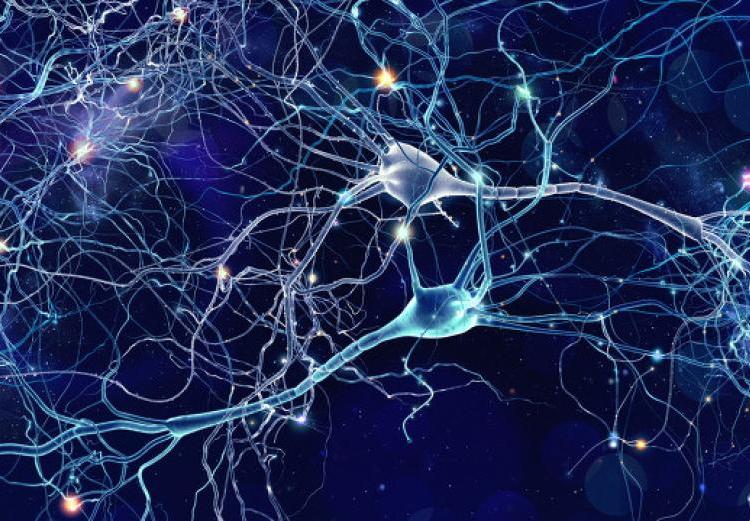 直徑5.2億光年，囊括10萬星系，拉尼亞凱亞超星系團有多可怕？