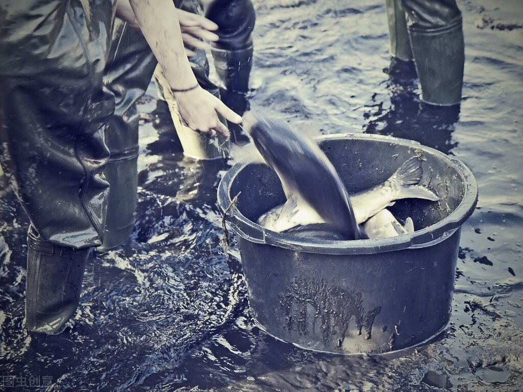 釣魚人常遇到的5件“怪事”，我相信你也遇到過，我遇到好幾次