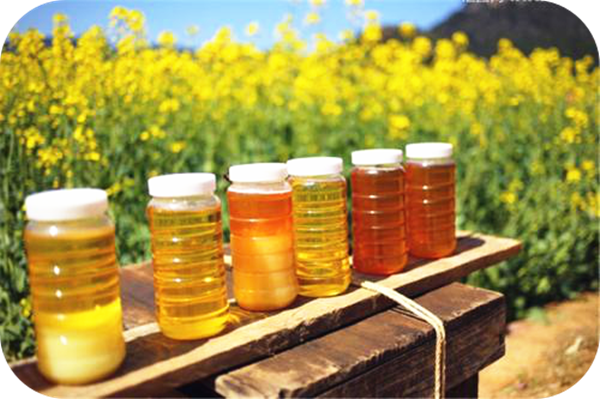 有哪些蜂蜜是最常見的(常見的17種蜂蜜介紹) 有哪些蜂蜜是最常見的(常見的17種蜂蜜介紹)