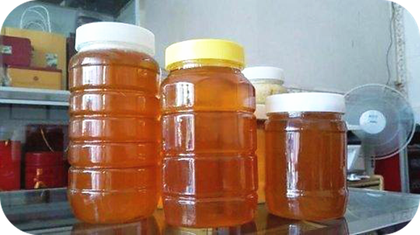 有哪些蜂蜜是最常見的(常見的17種蜂蜜介紹) 有哪些蜂蜜是最常見的(常見的17種蜂蜜介紹)