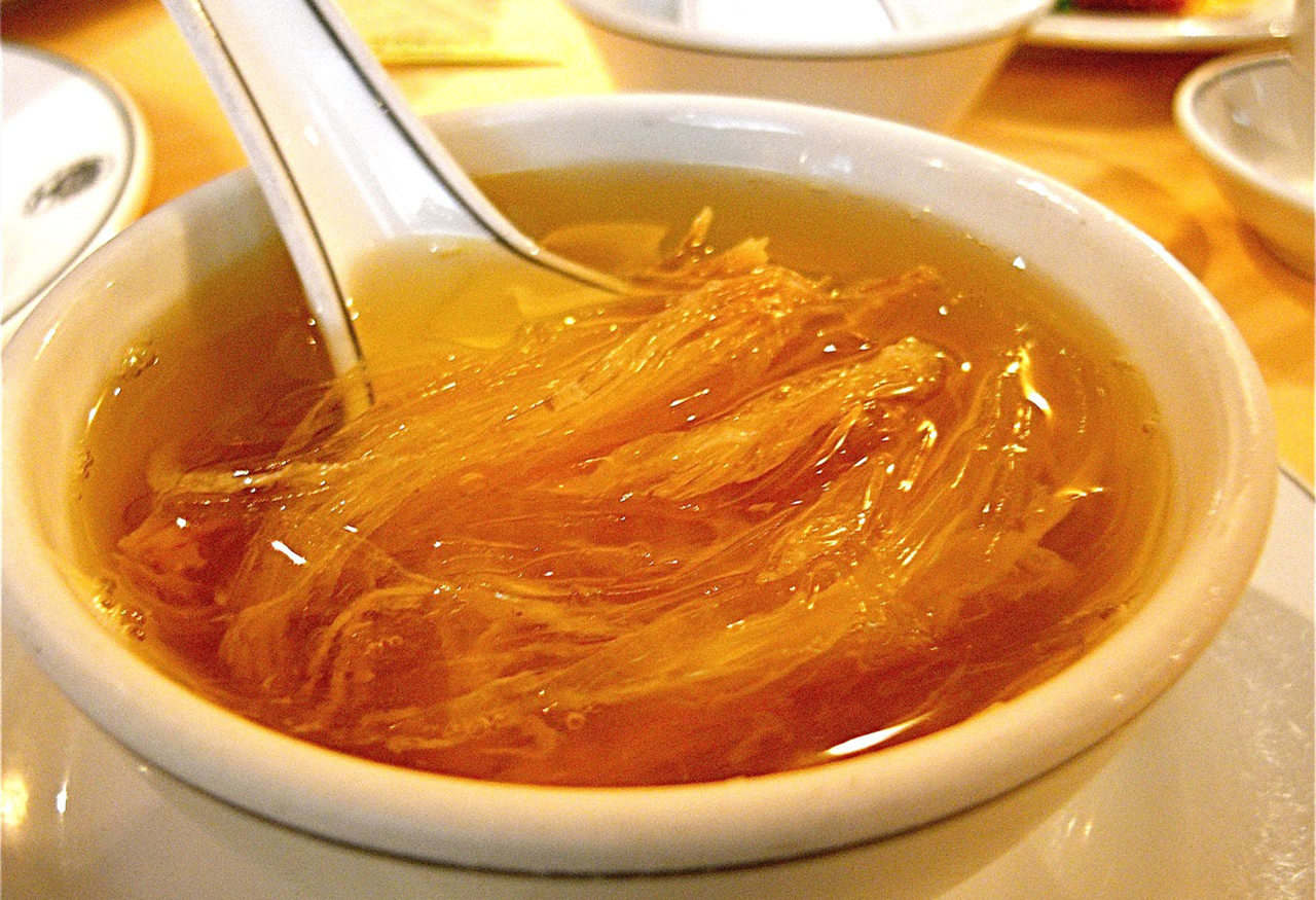 全球每年銷售魚翅140萬噸，殺死1億條鯊魚，為何不能人工飼養？