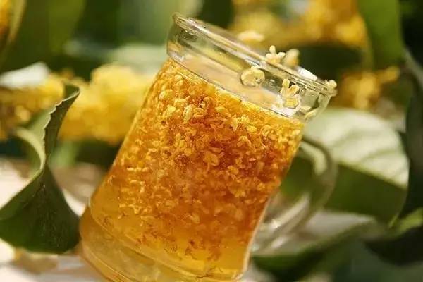 桂花蜜的作用與功效(桂花蜜沖水喝的好處) 桂花蜜的作用與功效(桂花蜜沖水喝的好處)