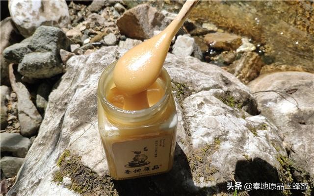 封蓋的蜂蜜和不封蓋的區(qū)別(蜜蜂封蓋是什么意思) 封蓋的蜂蜜和不封蓋的區(qū)別(蜜蜂封蓋是什么意思)