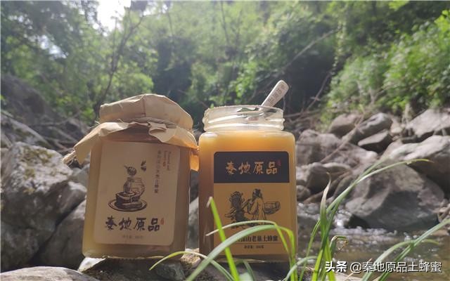 封蓋的蜂蜜和不封蓋的區(qū)別(蜜蜂封蓋是什么意思) 封蓋的蜂蜜和不封蓋的區(qū)別(蜜蜂封蓋是什么意思)