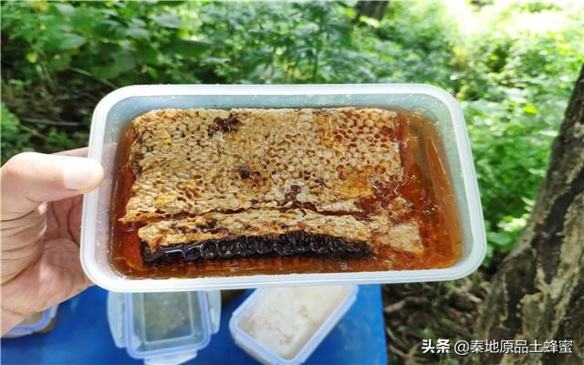 封蓋的蜂蜜和不封蓋的區(qū)別(蜜蜂封蓋是什么意思) 封蓋的蜂蜜和不封蓋的區(qū)別(蜜蜂封蓋是什么意思)